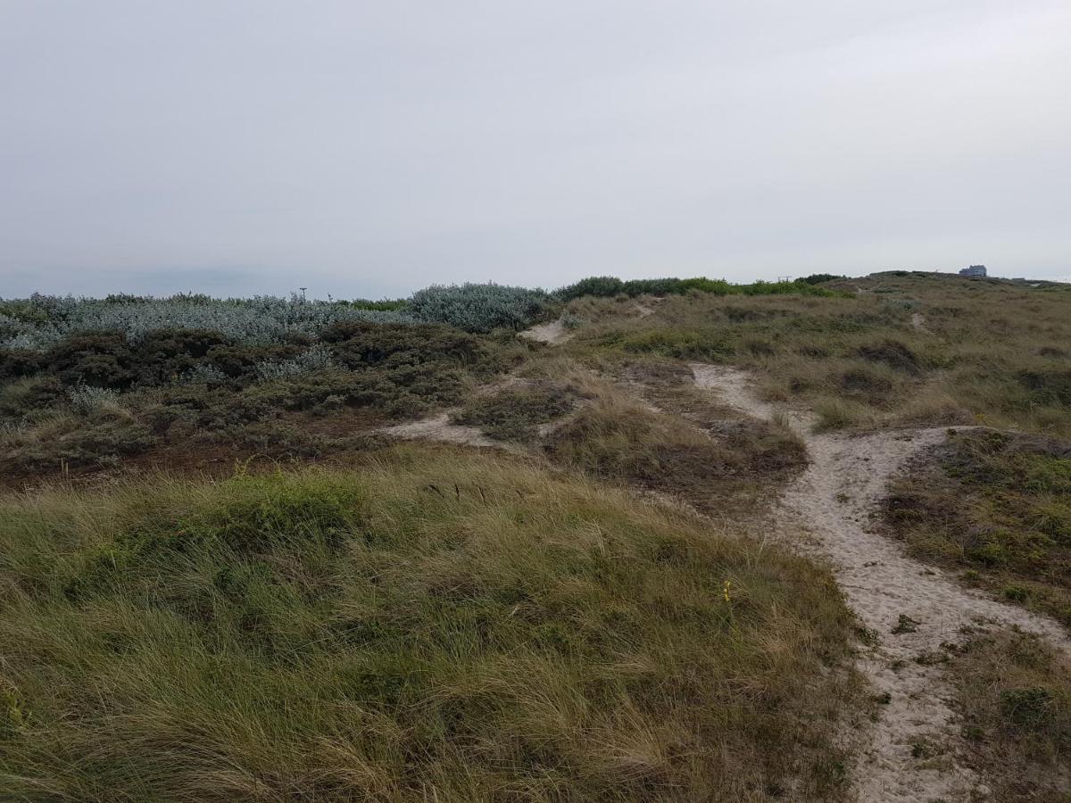 Seacottage Blankenberge - Wenduine De Haan Esterno foto