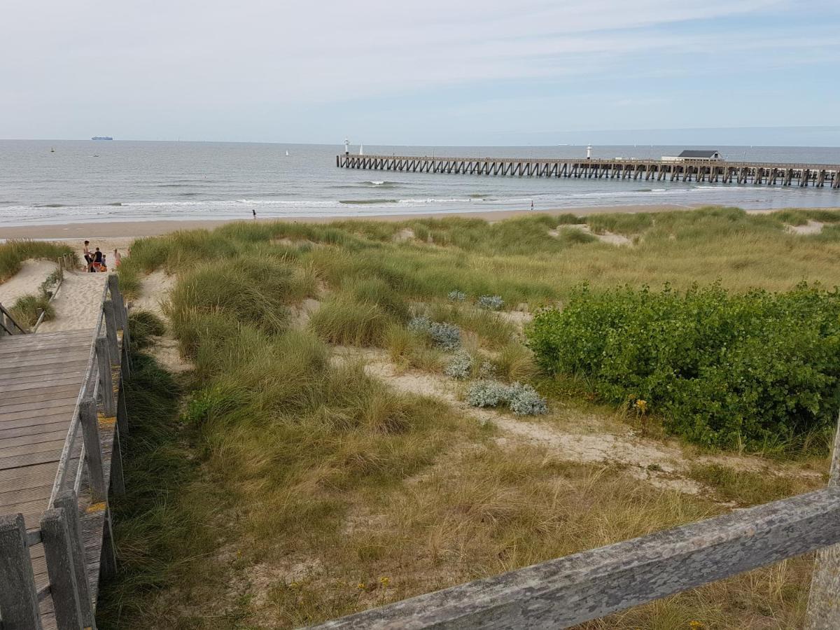 Seacottage Blankenberge - Wenduine De Haan Esterno foto
